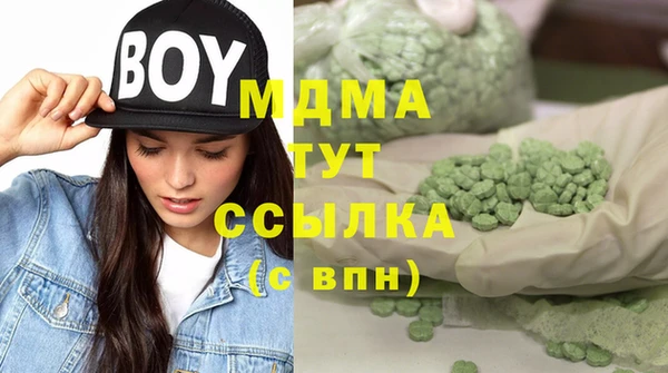 гидра Богородск