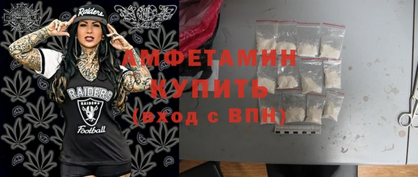 гидра Богородск