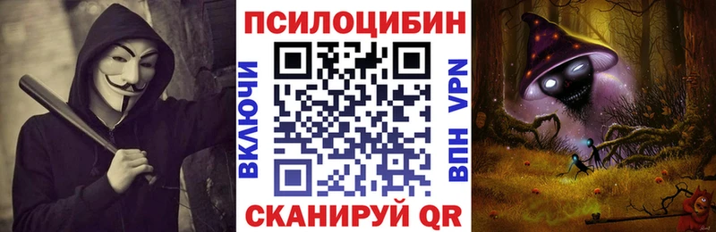 что такое   Саяногорск  Псилоцибиновые грибы Cubensis 